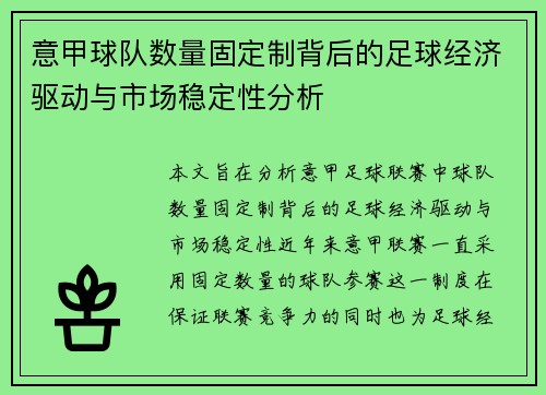 意甲球队数量固定制背后的足球经济驱动与市场稳定性分析