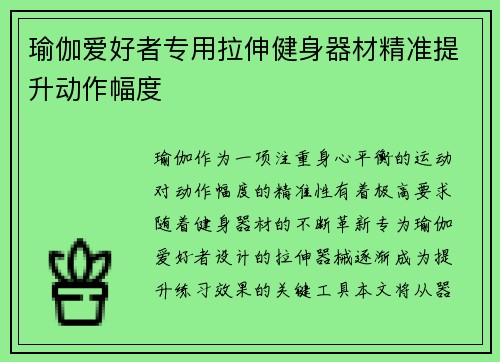 瑜伽爱好者专用拉伸健身器材精准提升动作幅度