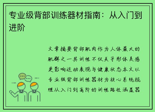 专业级背部训练器材指南：从入门到进阶