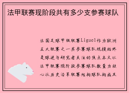法甲联赛现阶段共有多少支参赛球队